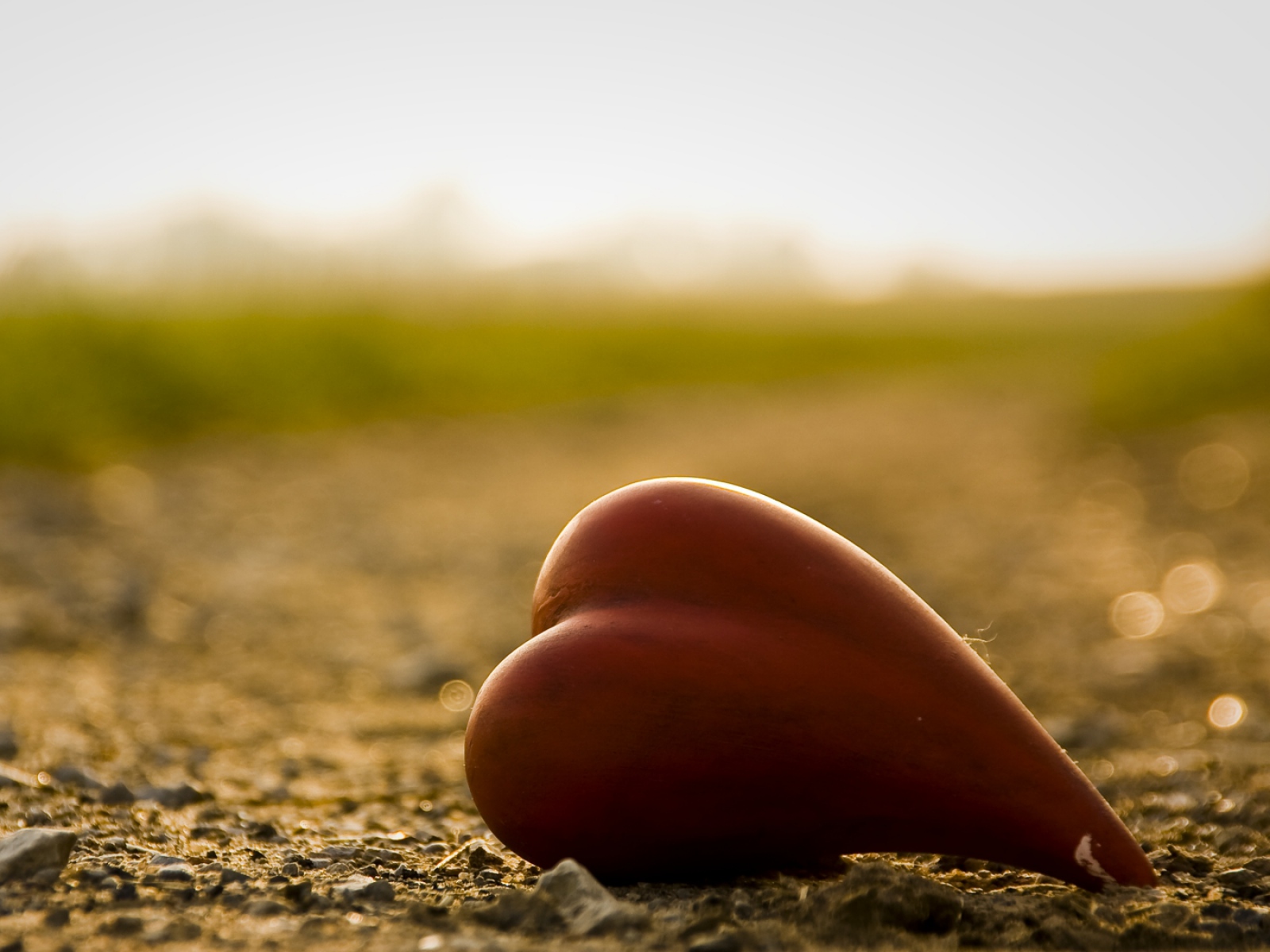 heart-red-sky-light-shape-7408-1600x1200.jpg heart-red-sky-light-shape-7408-1600x1200.jpg